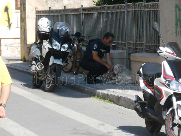 Αστυνομικός πρότυπο στη Πρέβεζα 2 (3)