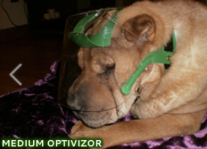 The_Optivizor_-_Provizor_International_Canine_and_Equine