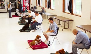Τρόφιμοι φυλακών σε σωφρονιστικό ίδρυμα στη Μασαχουσέτη ανέλαβαν τη φροντίδα κακοποιημένων σκυλιών.