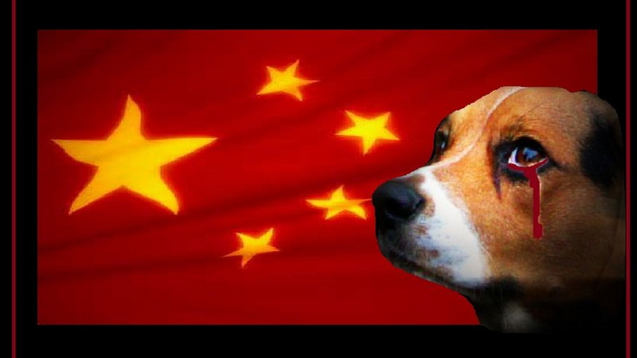 Yulin petition