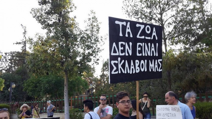 Διαμαρτυρία Κύπρος (2)