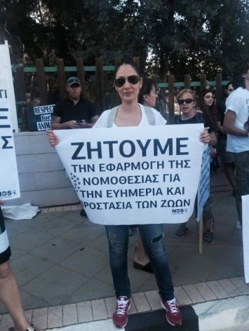 Διαμαρτυρία Κύπρος (5)