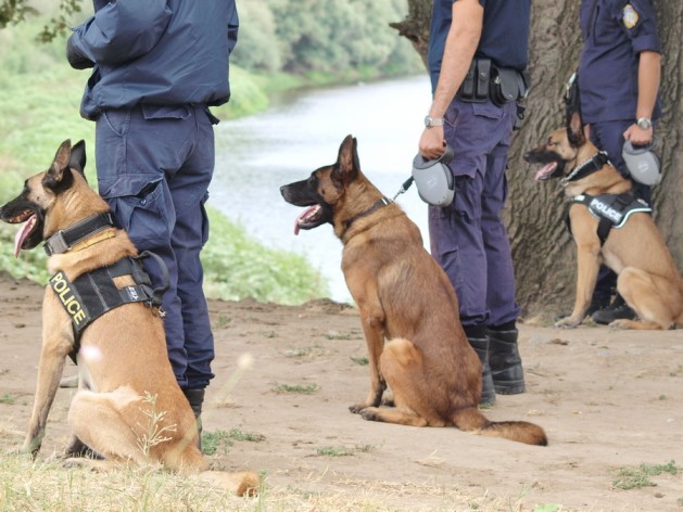 Ομάδα Αστυνομικών Σκύλων (2)