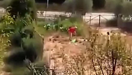 Δημοτικός σύμβουλος κακοποιεί βάναυσα σκύλο στη Καβάλα [Video]