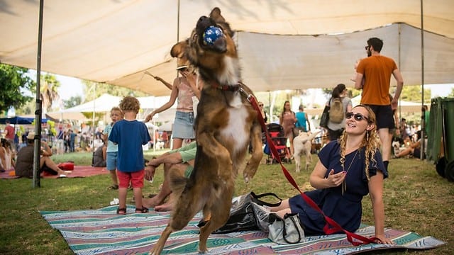 Γιορτάστηκε η Μέρα του Σκύλου στη πιο pet friendly πόλη του κόσμου