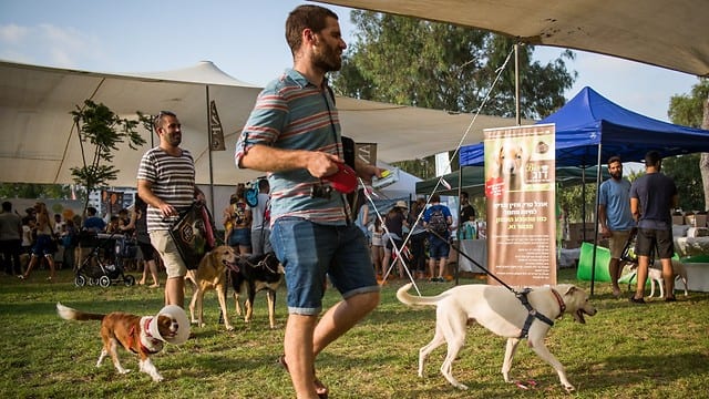 Γιορτάστηκε η Μέρα του Σκύλου στη πιο pet friendly πόλη του κόσμου  (7)
