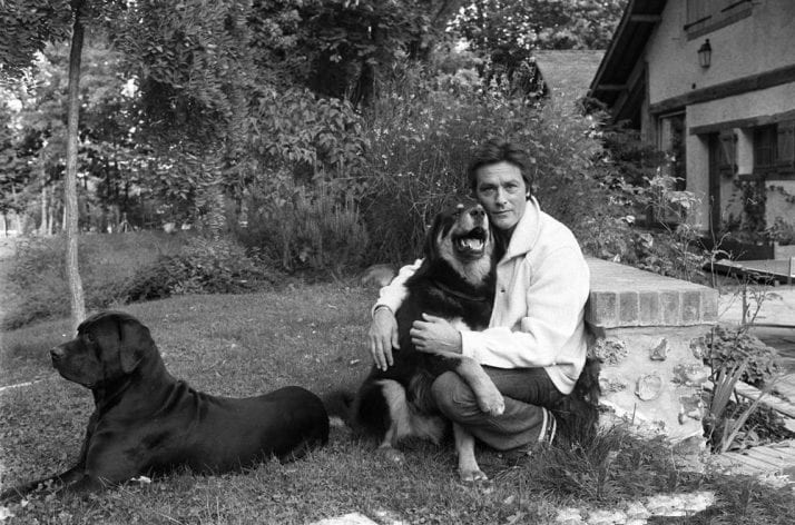 Alain Delon with his dogs ** NB 157116 **